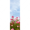 Xxl Wandbild Blumenwiese Bei Strahlend Blauem Himmel Schmal Motivvorschau