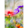 Xxl Wandbild Blumenwiese Mit Schmetterlingen Hochformat Motivvorschau