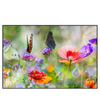 Xxl Wandbild Blumenwiese Mit Schmetterlingen Querformat Produktvorschau Frontal