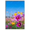 Xxl Wandbild Blumenwiese Unter Blauem Himmel Hochformat Produktvorschau Frontal