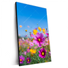 Xxl Wandbild Blumenwiese Unter Blauem Himmel Hochformat Produktvorschau Seitlich
