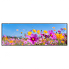 Xxl Wandbild Blumenwiese Unter Blauem Himmel Panorama Produktvorschau Frontal