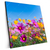 Xxl Wandbild Blumenwiese Unter Blauem Himmel Quadrat Produktvorschau Seitlich