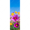 Xxl Wandbild Blumenwiese Unter Blauem Himmel Schmal Motivvorschau