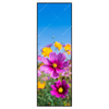 Xxl Wandbild Blumenwiese Unter Blauem Himmel Schmal Produktvorschau Frontal