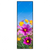 Xxl Wandbild Blumenwiese Unter Blauem Himmel Schmal Produktvorschau Frontal