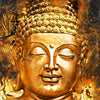 Xxl Wandbild Buddha Golden Splash Querformat Zoom