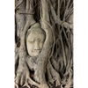 Xxl Wandbild Buddha In Baumwurzeln Hochformat Motivvorschau