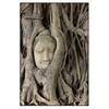 Xxl Wandbild Buddha In Baumwurzeln Hochformat Produktvorschau Frontal