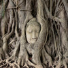 Xxl Wandbild Buddha In Baumwurzeln Quadrat Motivvorschau
