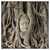 Xxl Wandbild Buddha In Baumwurzeln Quadrat Produktvorschau Frontal