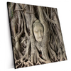 Xxl Wandbild Buddha In Baumwurzeln Quadrat Produktvorschau Seitlich