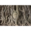 Xxl Wandbild Buddha In Baumwurzeln Querformat Motivvorschau