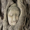 Xxl Wandbild Buddha In Baumwurzeln Querformat Zoom
