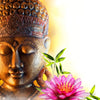 Xxl Wandbild Buddha Kopf Seerose Quadrat Motivvorschau