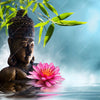 Xxl Wandbild Buddha Statue Mit Seerose Quadrat Motivvorschau