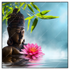 Xxl Wandbild Buddha Statue Mit Seerose Quadrat Produktvorschau Frontal