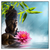 Xxl Wandbild Buddha Statue Mit Seerose Quadrat Produktvorschau Frontal