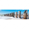 Xxl Wandbild Buhnen In Wellen Am Strand Panorama Motivvorschau