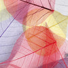 Xxl Wandbild Bunte Blaetter Panorama Zoom