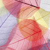 Xxl Wandbild Bunte Blaetter Querformat Zoom