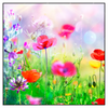 Xxl Wandbild Bunte Mohnblumen Quadrat Produktvorschau Frontal