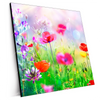 Xxl Wandbild Bunte Mohnblumen Quadrat Produktvorschau Seitlich