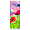 Xxl Wandbild Bunte Mohnblumen Schmal Produktvorschau Frontal