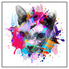 Xxl Wandbild Bunte Sphynx Weiss Quadrat Produktvorschau Frontal