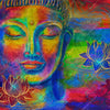 Xxl Wandbild Bunter Buddha No 2 Quadrat Motivvorschau
