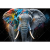 Xxl Wandbild Bunter Elefant Querformat Motivvorschau