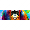 Xxl Wandbild Bunter Orang Utan Panorama Motivvorschau
