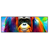 Xxl Wandbild Bunter Orang Utan Panorama Produktvorschau Frontal