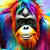 Xxl Wandbild Bunter Orang Utan Quadrat Motivvorschau