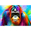 Xxl Wandbild Bunter Orang Utan Querformat Motivvorschau