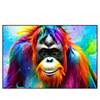 Xxl Wandbild Bunter Orang Utan Querformat Produktvorschau Frontal