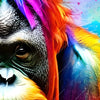Xxl Wandbild Bunter Orang Utan Querformat Zoom