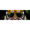 Xxl Wandbild Cooler Tiger Panorama Motivvorschau