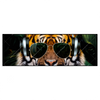 Xxl Wandbild Cooler Tiger Panorama Produktvorschau Frontal