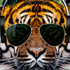 Xxl Wandbild Cooler Tiger Querformat Zoom