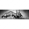 Xxl Wandbild Das Duell Panorama Motivvorschau