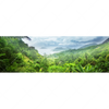 Xxl Wandbild Der Dschungel Panorama Motivvorschau