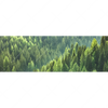 Xxl Wandbild Der Wald Panorama Motivvorschau