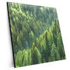Xxl Wandbild Der Wald Quadrat Produktvorschau Seitlich