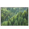 Xxl Wandbild Der Wald Querformat Produktvorschau Frontal