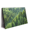 Xxl Wandbild Der Wald Querformat Produktvorschau Seitlich