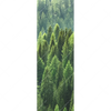 Xxl Wandbild Der Wald Schmal Motivvorschau