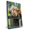 Xxl Wandbild Drei Schottische Rinder Hochformat Produktvorschau Seitlich
