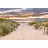 Xxl Wandbild Duenen Am Nordseestrand No 2 Querformat Motivvorschau
