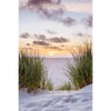 Xxl Wandbild Duenen Und Abendsonne Hochformat Motivvorschau